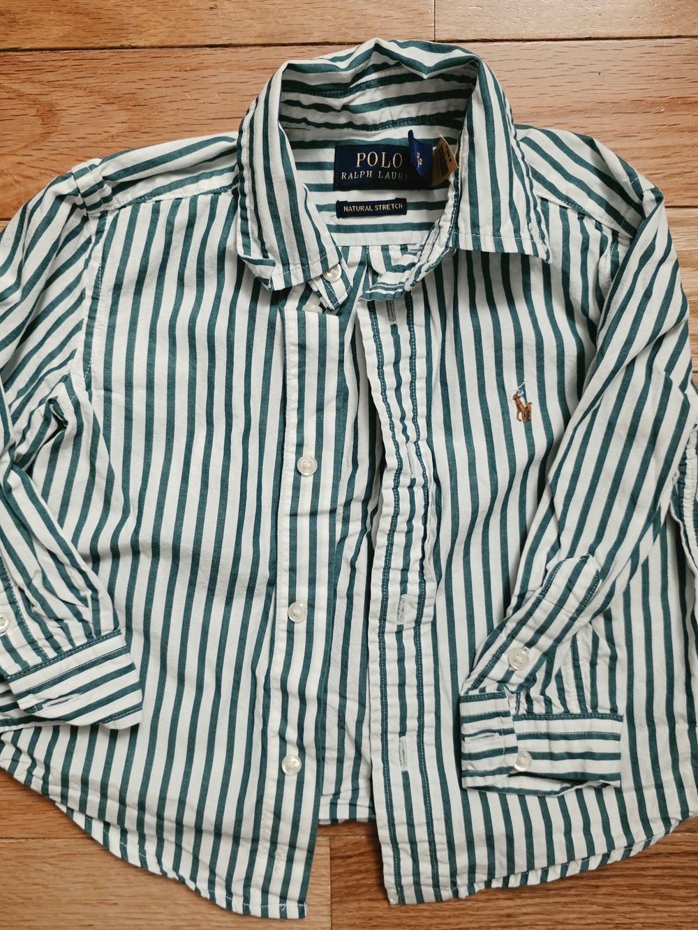 Polo by Ralph Lauren Green Stripe Button-Down Shirt